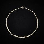 1436 7172 Pärlcollier